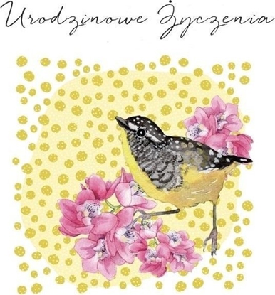 Picture of Karnet Swarovski kwadrat CL4502_PO Urodzinowe ycz