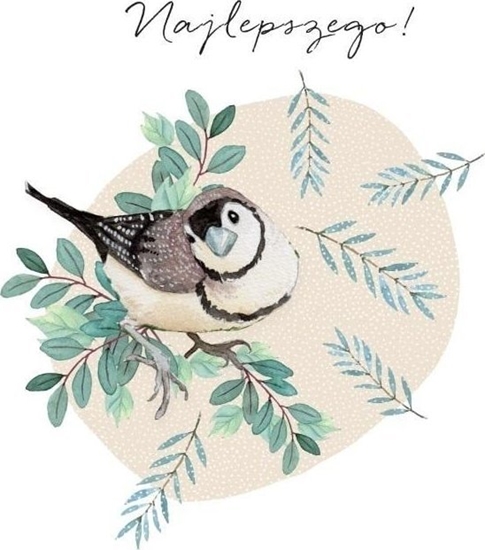 Picture of Clear Creation Karnet Swarovski kwadrat CL4503_PO