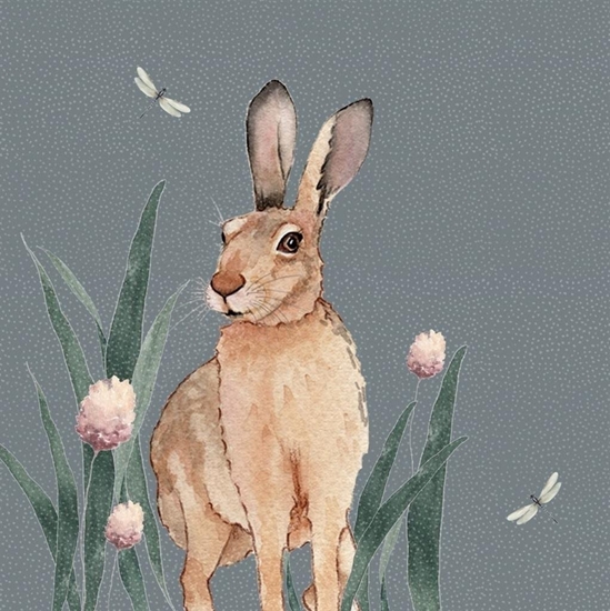 Picture of Karnet Swarovski kwadrat CL4701 Zajc Wielkanoc