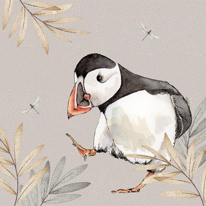 Picture of Karnet Swarovski kwadrat CL4702 Maskonur