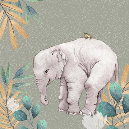 Picture of Karnet Swarovski kwadrat CL4703 So