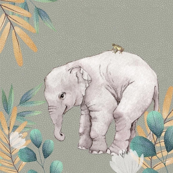 Picture of Karnet Swarovski kwadrat CL4703 So