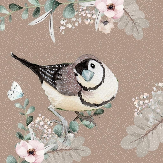 Picture of Karnet Swarovski kwadrat CL4704 Ptaszek