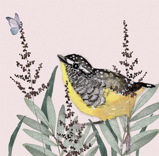 Picture of Karnet Swarovski kwadrat CL4706 óty ptaszek