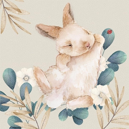 Picture of Karnet Swarovski kwadrat CL4708 Królik Wielkanoc