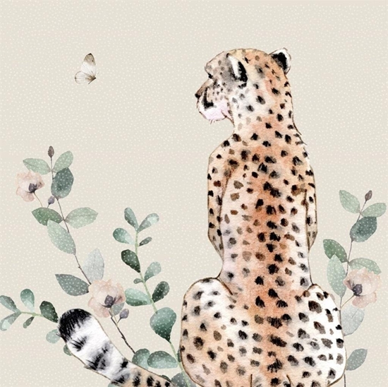 Picture of Karnet Swarovski kwadrat CL4709 Gepard