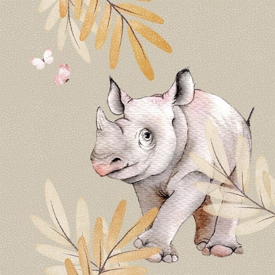 Picture of Karnet Swarovski kwadrat CL4710 Nosoroec