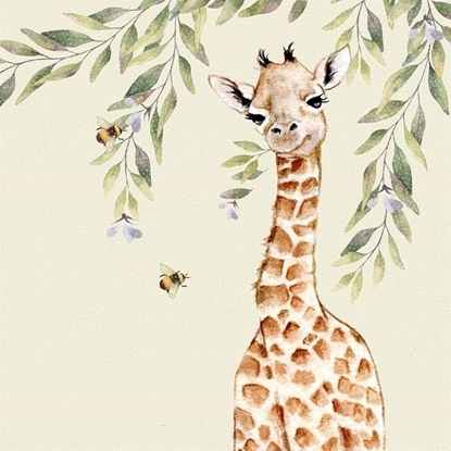 Picture of Karnet Swarovski kwadrat CL4712 yrafa