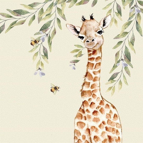 Picture of Karnet Swarovski kwadrat CL4712 yrafa