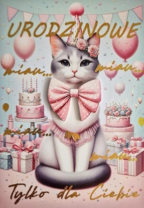 Picture of Karnet Urodziny Kotek 3K