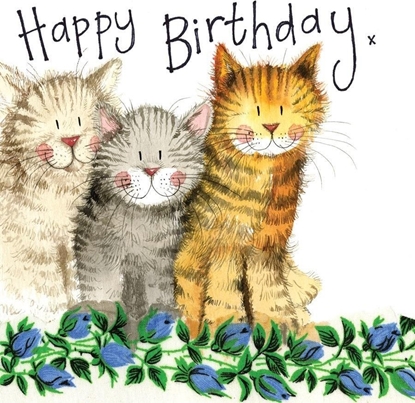 Picture of Karnet Urodziny S97 3 Koty