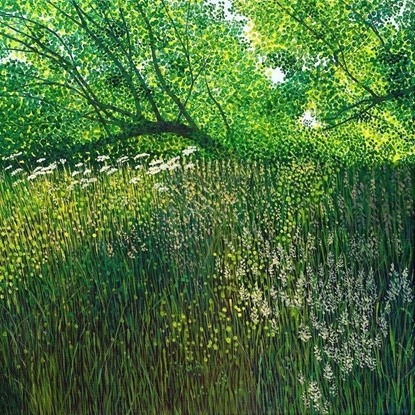 Picture of Karnet z kopert AC10137 Letnia ka