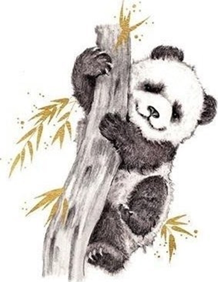 Picture of Karnet zocony kwadrat CL3816_BL Panda