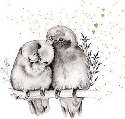 Picture of Karnet zocony kwadrat CL3818_BL Ptaszki