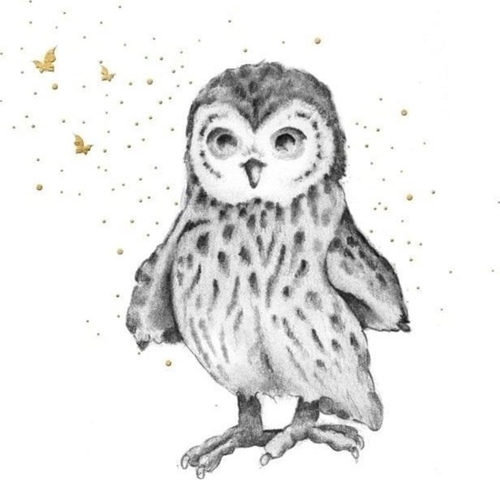 Picture of Karnet zocony kwadrat CL3822_BL Sowa