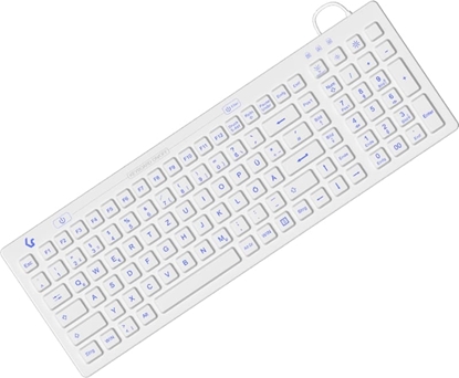 Изображение Keysonic KSK-6031INEL tastatūra Rūpniecisks USB QWERTZ Vācu Balts