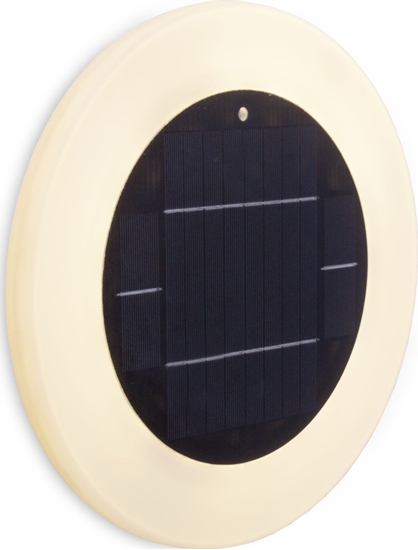 Picture of Kinkiet New Garden New Garden PAPAYA 30 SOLAR