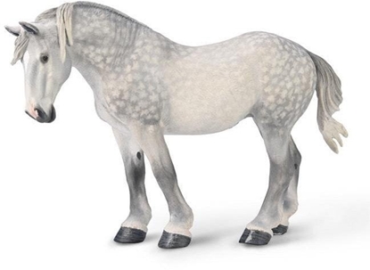 Attēls no Klacz percheron siwa jabkowita EDUKAMP