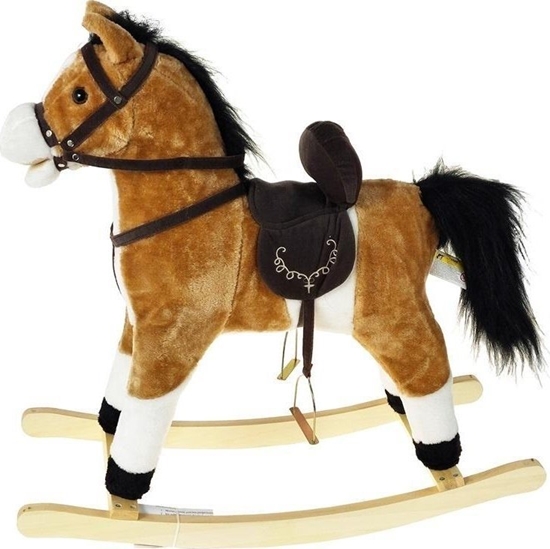 Picture of Ko na biegunach z dwikiem