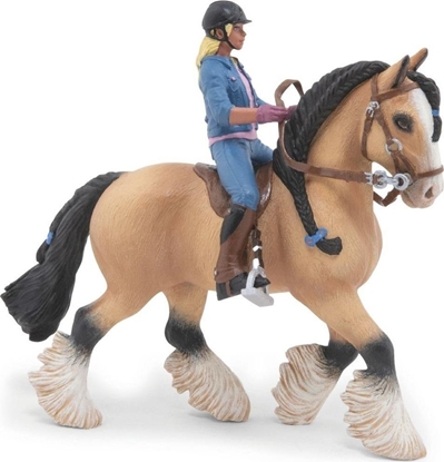 Picture of Ko Tinker z modym jedcem