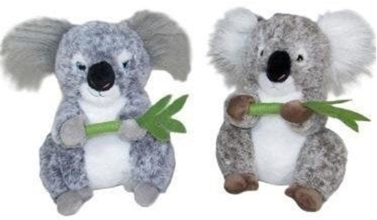 Picture of Koala 40cm MIX