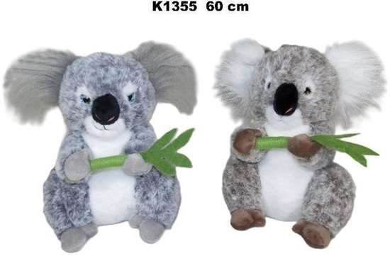 Picture of Koala 60cm MIX
