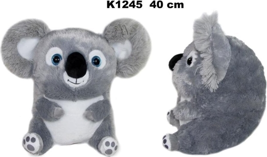 Picture of Koala kula 40cm