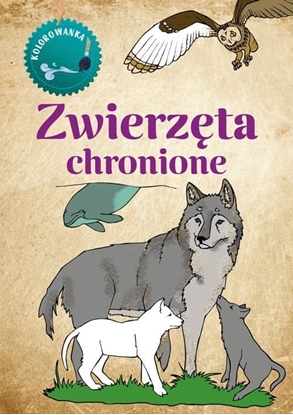 Изображение Kolorowanka Zwierzta Chronione