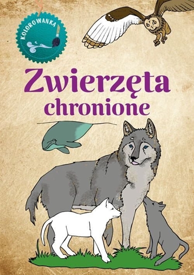 Picture of Kolorowanka Zwierzta Chronione