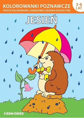 Picture of Kolorowanki poznawcze - Jesie