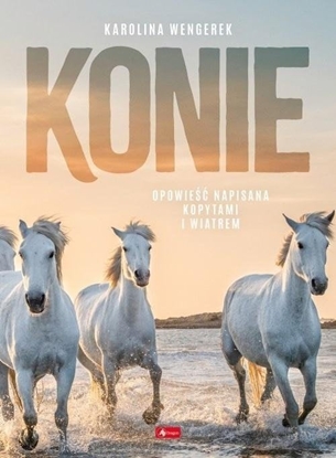 Изображение Konie