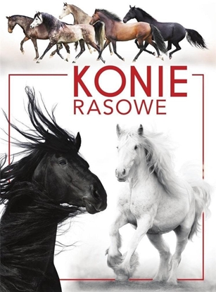 Изображение Konie rasowe