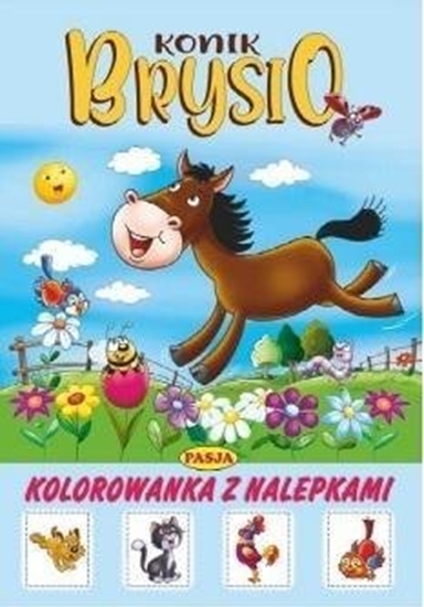 Picture of Konik Brysio