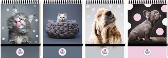 Picture of Koonotes A6 96k. BENIAMIN The Sweet Pets - zamyklany na gumk, kratka