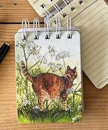 Picture of Koonotes A7 SSN33 Kot na ce