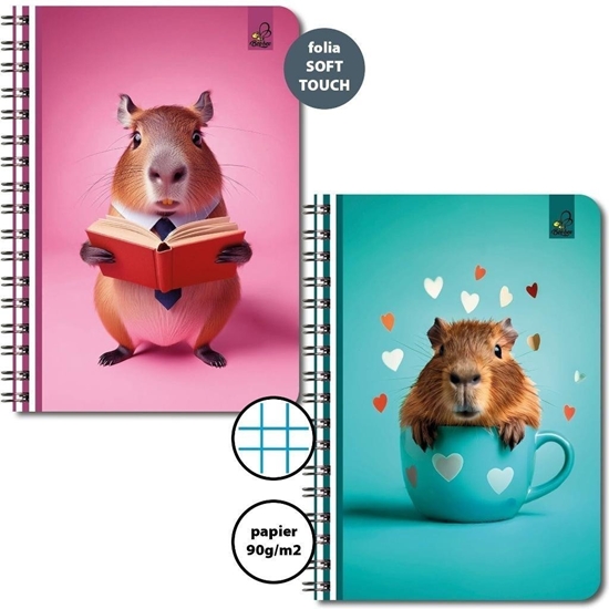 Изображение Koozeszyt A6/50K kratka 90g Kapibara (10szt)