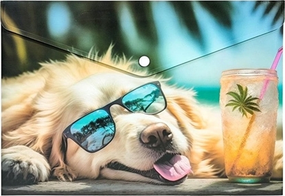 Attēls no Koperta A4 PP na nap z nadrukiem Chillout Dog