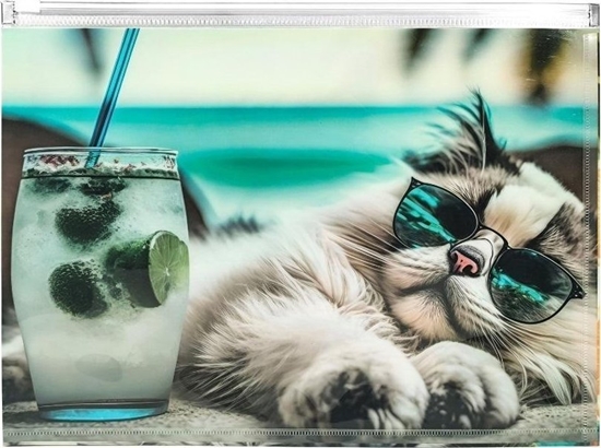 Picture of Koperta A4 PP z nadrukiem zip Chillout Cat