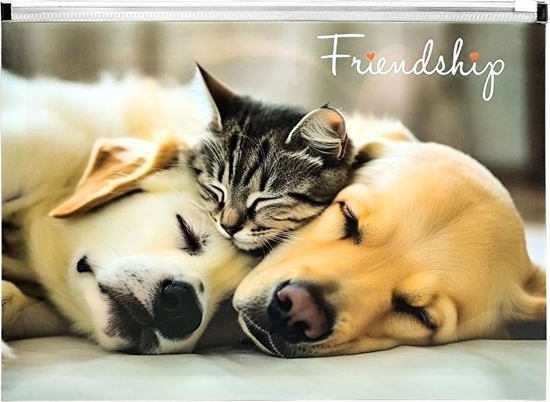 Picture of Koperta A4 PP z nadrukiem zip Friendship