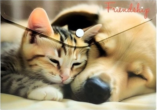Picture of Koperta A5 PP na nap z nadrukiem Friendship