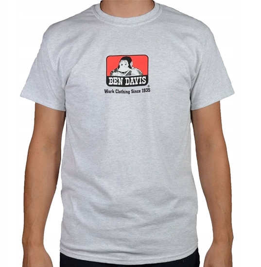 Picture of Koszulka Ben Davis Classic Logo Ash