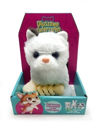 Picture of Kotek chodzcy z rybk