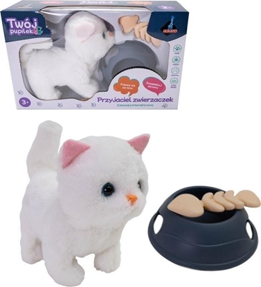 Picture of Kotek na baterie z akcesoriami