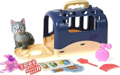 Attēls no Kotek z klatk do przenoszenia z akcesoriami