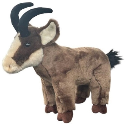 Изображение Kozica górska 23cm