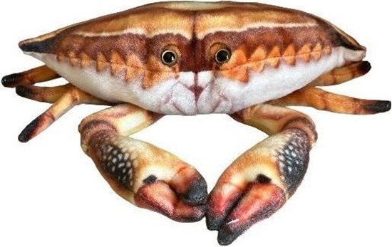 Изображение Krab 31cm