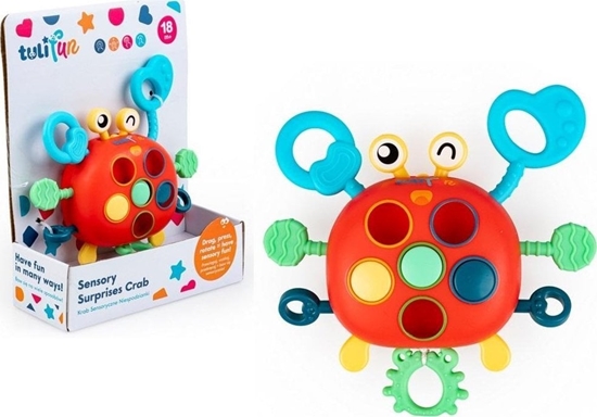 Изображение Krab Sensoryczne Niespodzianki