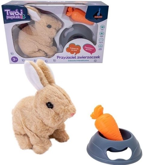 Picture of Króliczek na baterie z akcesoriami