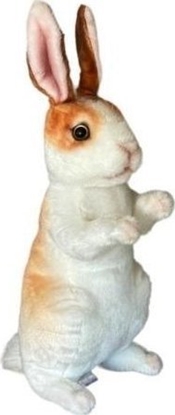 Picture of Królik 30cm