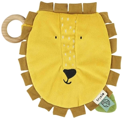 Picture of Ksieczka sensoryczna Lew